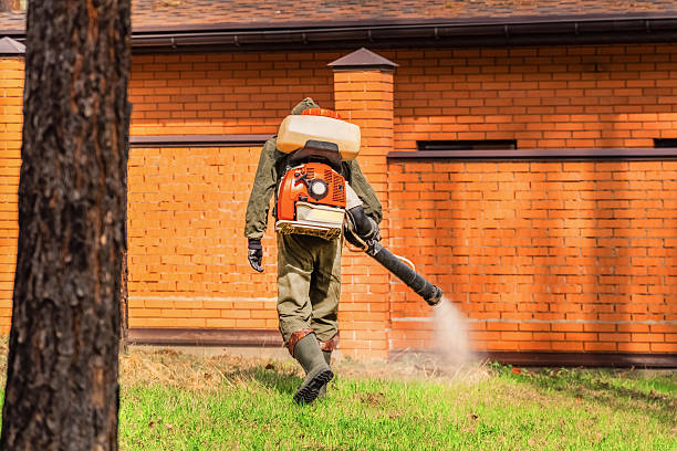 Trusted Mosquito Control service in Ville Platte, LA - Nex Pest Control